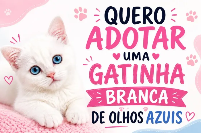 Adoção gato