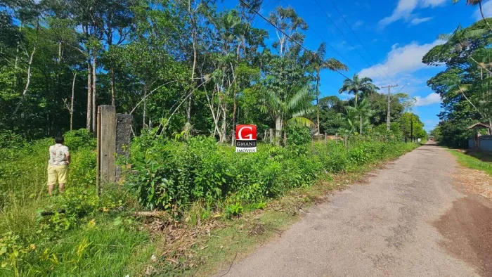 Oportunidade em Benevides! Terreno de 12.000 m² com plantação de açaí