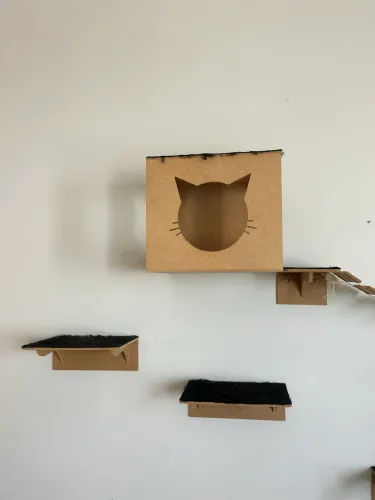 Playground gatos