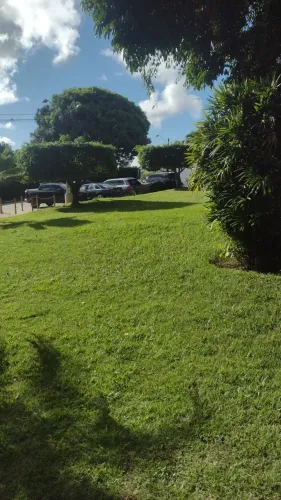 Verniz testuras tinta óleo encanação 