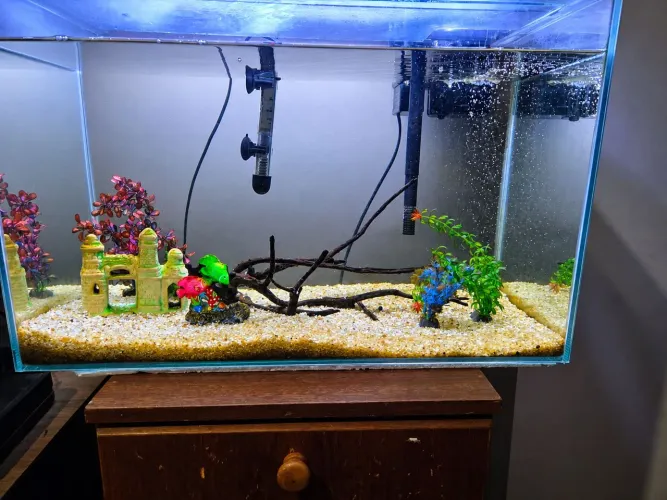Aquário 90 L Completo