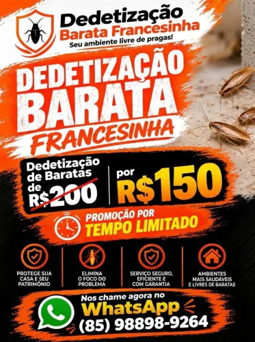 Dedetização