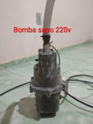 Bomba D'água Sapo 220v
