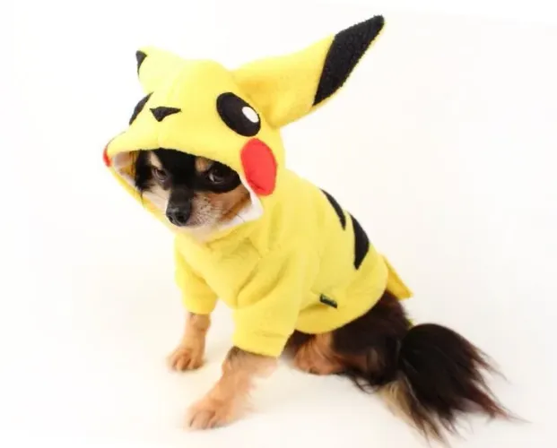 Roupas e acessórios para Pets