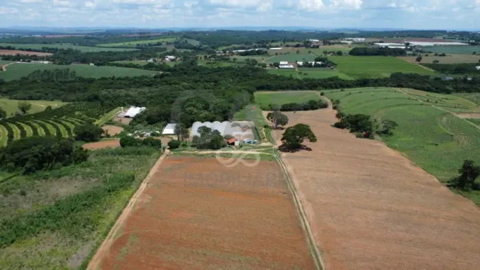 Sítio à venda, 75000 m² por R$ 1.350.000,00 - Palmeiras - Holambra/SP