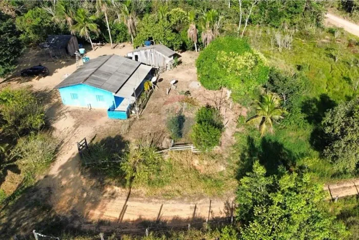 Oportunidade para Pecuária Leiteira: Sítio com 20 Alqueires em Vale do Anari | Jaru, Rondô