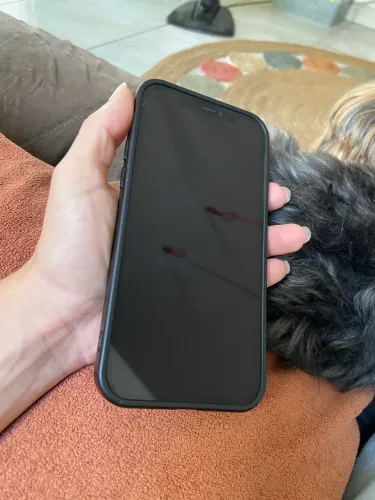IPHONE 12 PRO