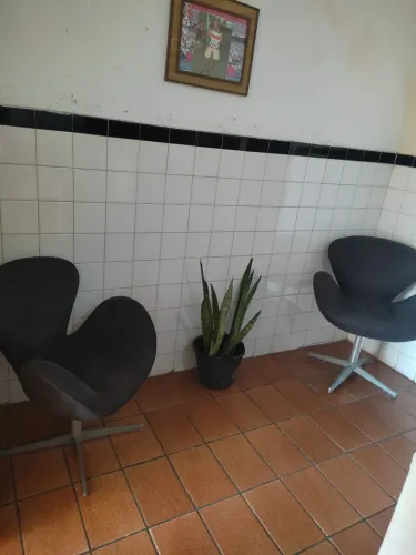 poltrona giratória ( R$ 225,00 cada ) simplesmente belíssimas