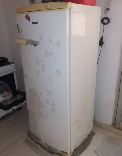 Geladeira e fogão 350 os dois.