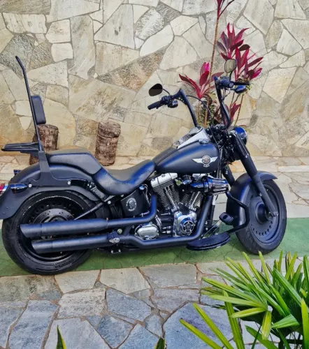 Harley Davidson Fat Boy Special 2012