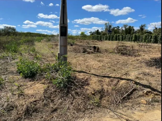 Lote ideal para moradia, plantio de hortaliças, pequena chácara ou viveiro.
