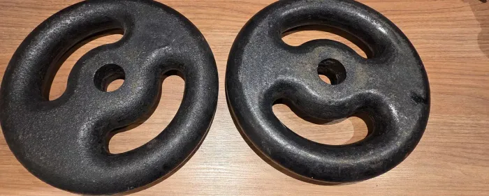 2 Halteres 