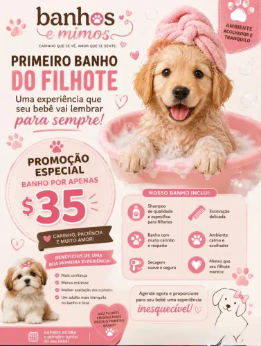 Banho e tosa 