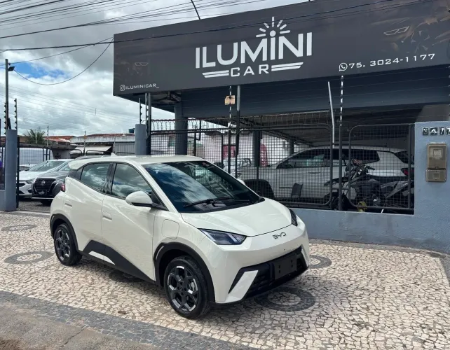 BYD Dolphin Mini (Elétrico) 2027