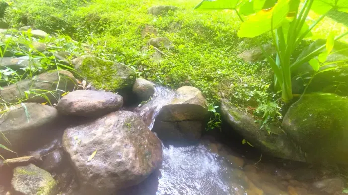 SOBRADO COM ENORME QUINTAL E LAGO NATURAL A VENDA EM CAMPO LARGO!