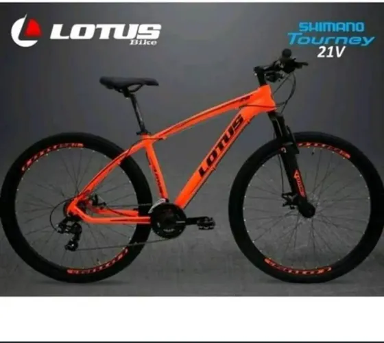 Bicicleta Lótus aro 29