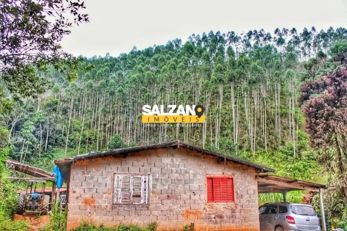Sítio com 2 dormitórios à venda, 181500 m² por R$ 850.000 - Pinheirinho - Redenção da Serr