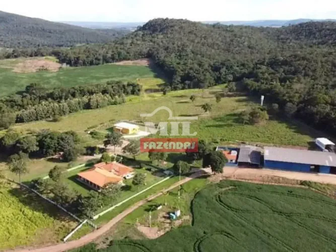 Fazenda 62 alqueires ( 300,08 hectares) São Francisco de Goiás GO
