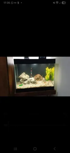 Aquário 80 litros