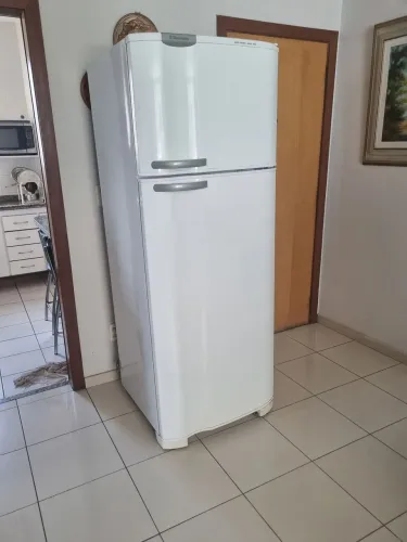 Geladeira Electrolux Super Freezer DC49A