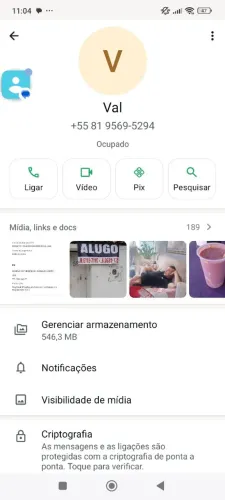 Celular