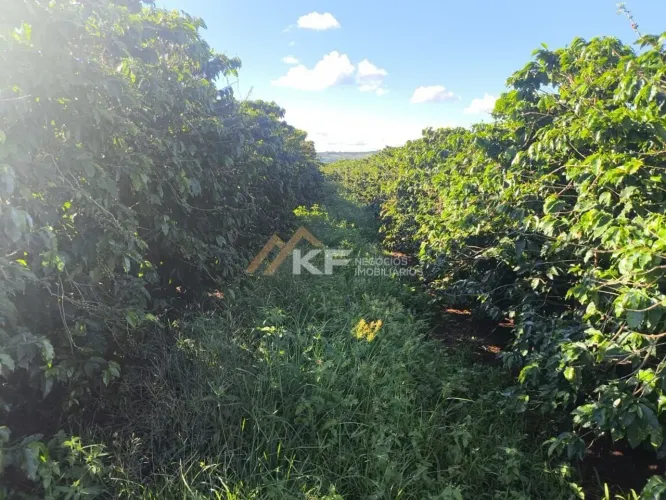 Sítio Localizado em Monte Santo de Minas/MG