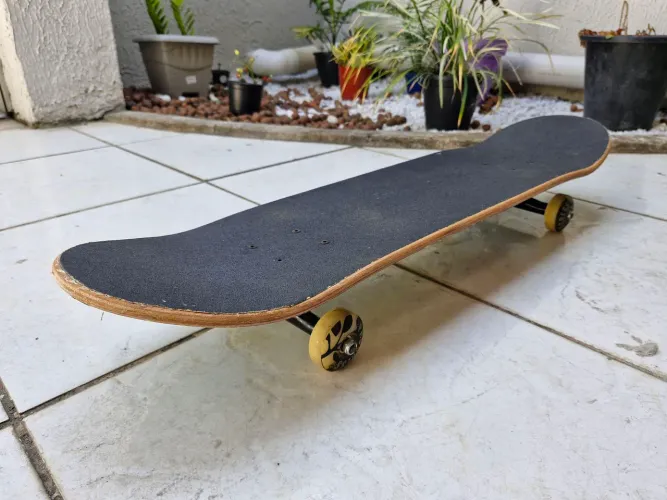 Skate completo PGS