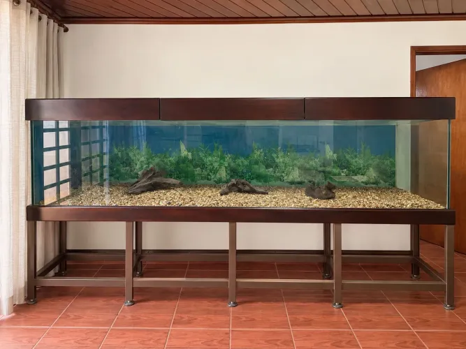 Aquário de 3 metros