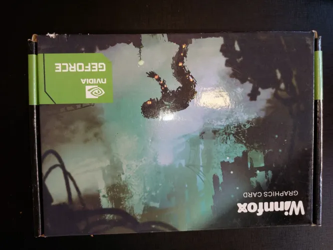Placa de vídeo Winnfox GeForce GT 210 1 GB DDR3.