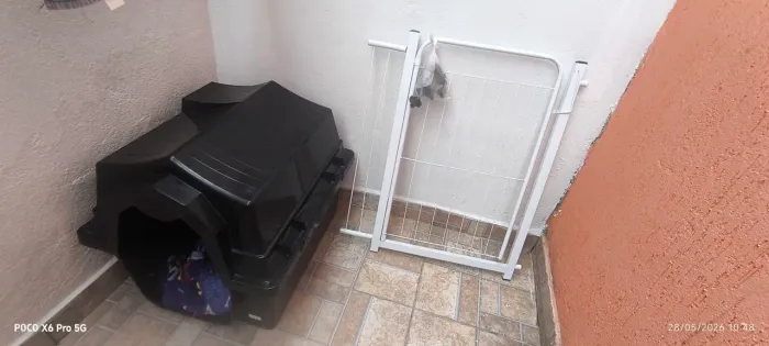 Casinha cães cachorro 