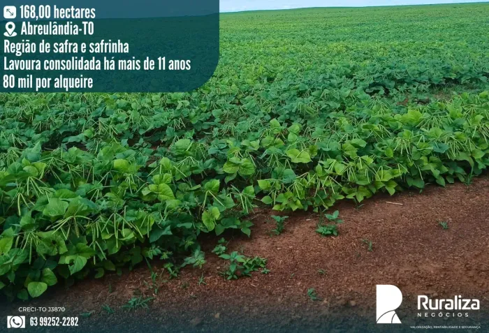 2 SAFRAS POR ANO | 90 HA PRODUZINDO | APENAS R$ 80 MIL/ALQUEIRE