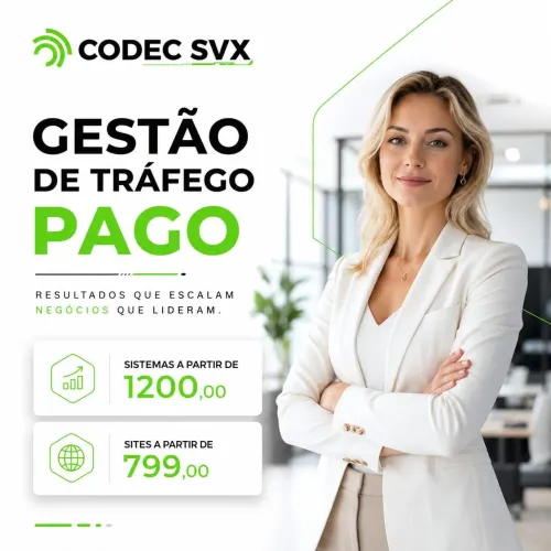 Gestão de Tráfego Pago e Criação de Sistema 