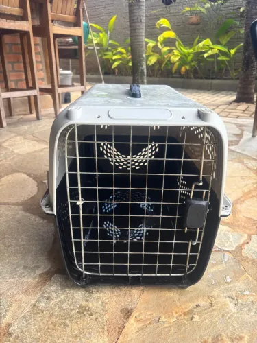 Caixa Transporte Pet