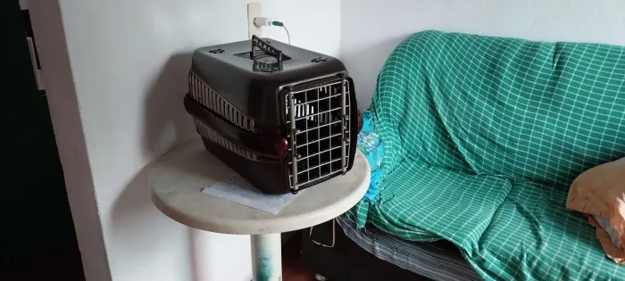 Transportadora pet