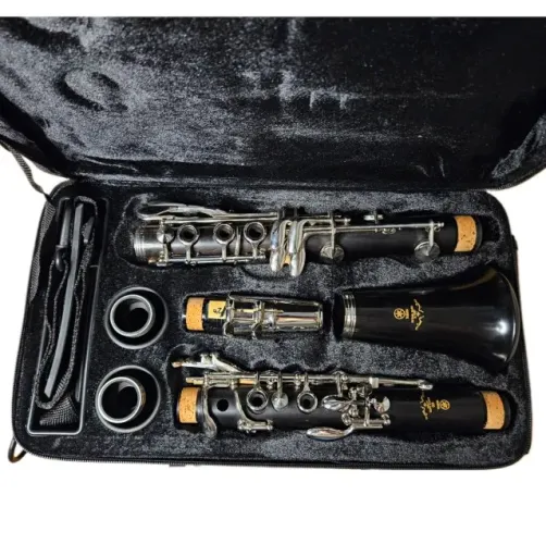 Clarinete Yamaha Ycl-650 Madeira Ébano Profissional Sib 