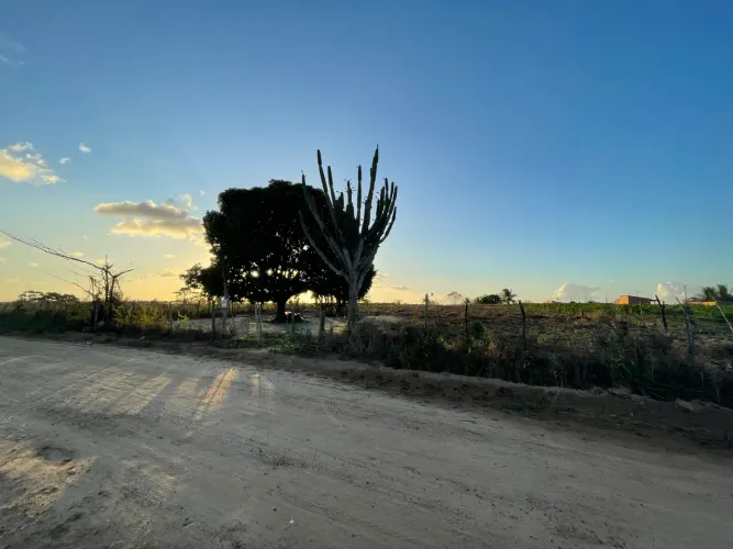 TERRENO NO POVOADO TOMBO/ SALGADO 17 TAREFAS