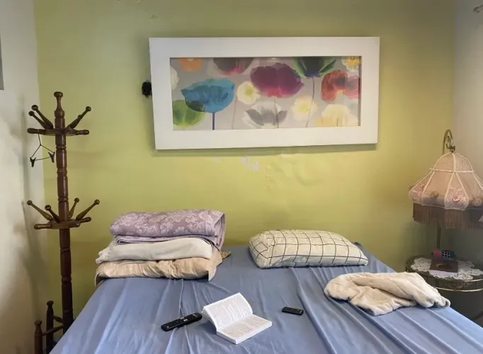 Conjunto de quadro, lustre e cama box casal