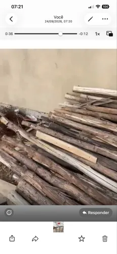 300 Escoras de Eucaliptos 
