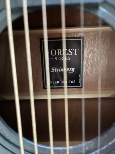 Violão Strinberg Forest Fs4d Hcr Tbs Folk Cutaway