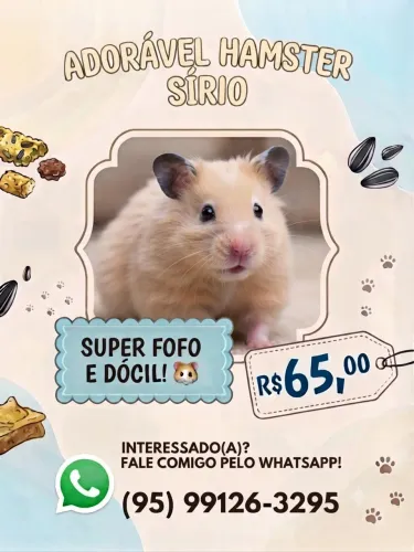 Hamster Sírio