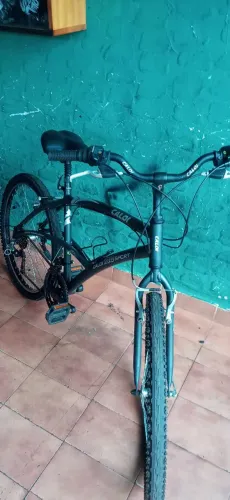 Caloi 100