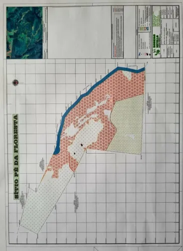 Sitio de 80ha na região de Rochedinho MS