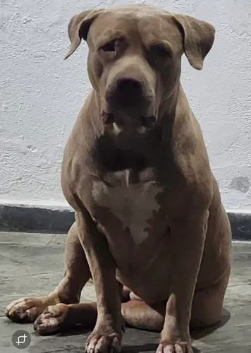 Pit monster