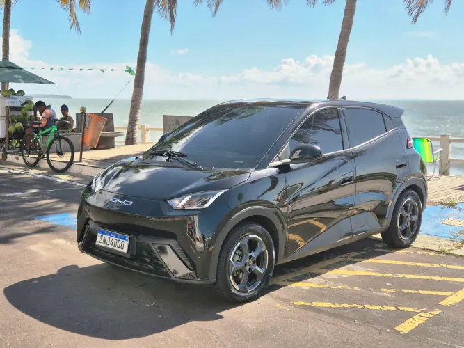 BYD Dolphin Mini (Elétrico) 2024