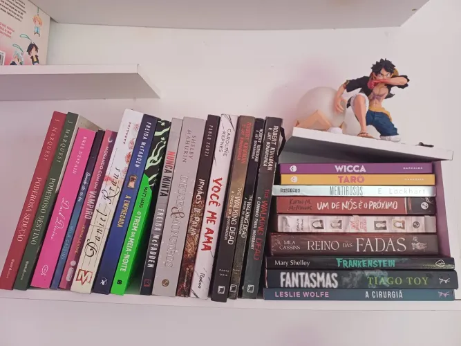 desapego de livros