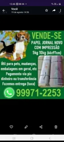 Papel Jornal Usado e Novo