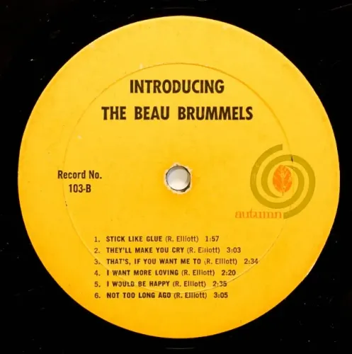 LP disco vinil - Introducing  The Beau Brummers (1965)