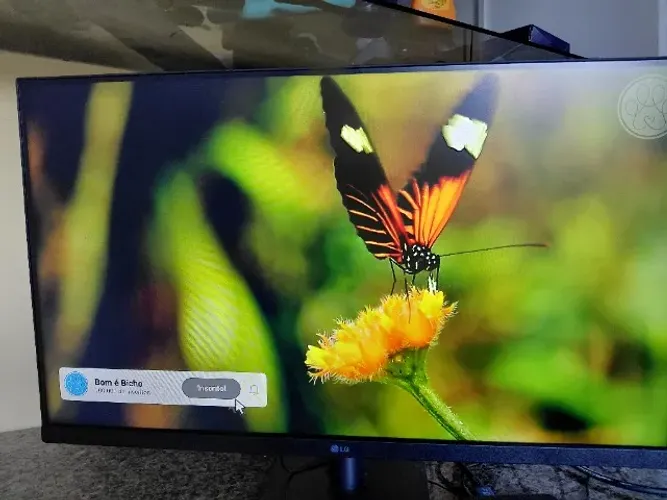 Monitor Gamer 100hz