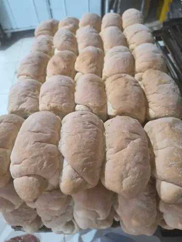 Pão Velho para Peixes ou Galinhas
