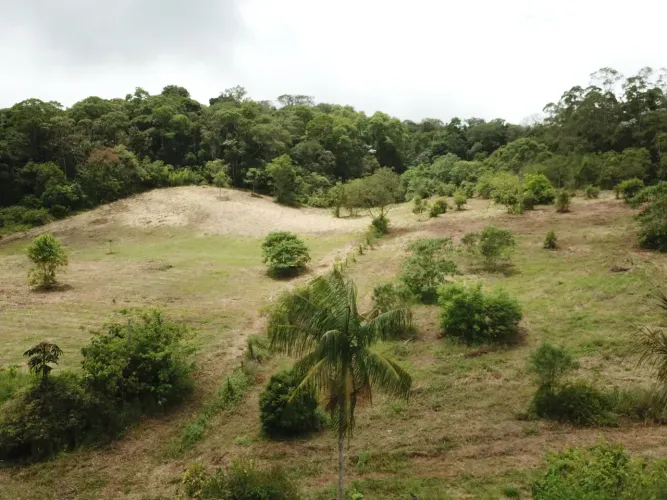 Chácara urbana 6600 metros quadrados com 3 quartos em Vila Moraes - Mogi das Cruzes - SP